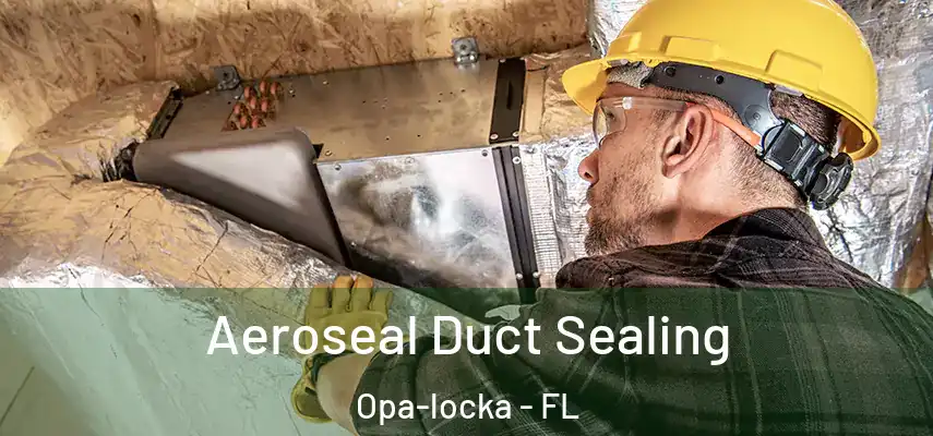  Aeroseal Duct Sealing Opa-locka - FL